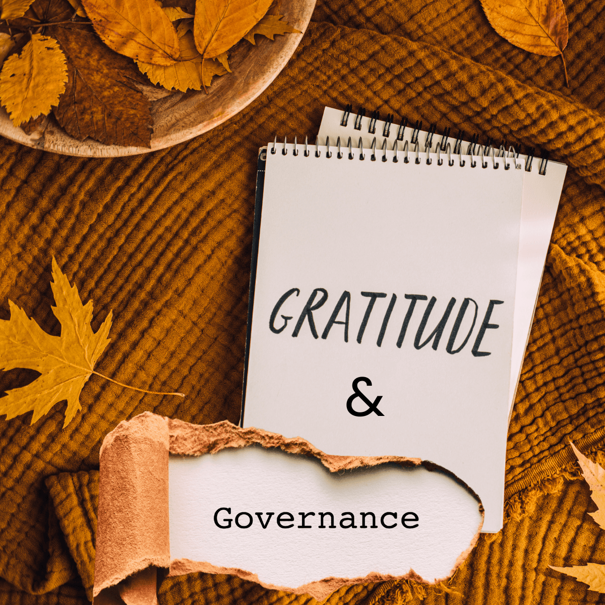 Gratitude and Governance: